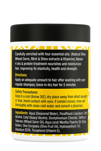 Alesen 4 Oils & Protein Treatment – The Ultimate Repair Formula for Dry, Damaged, or Weak Hair